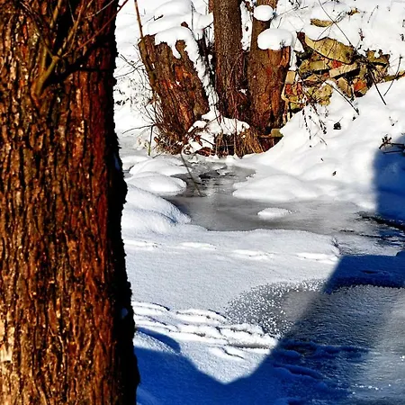 Biotanika 팜스테이 *