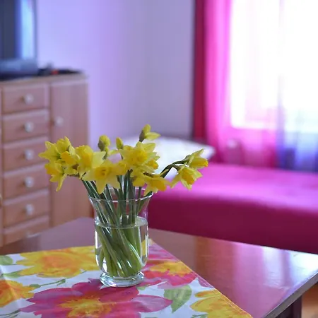 Biotanika 팜스테이 Michalkowa