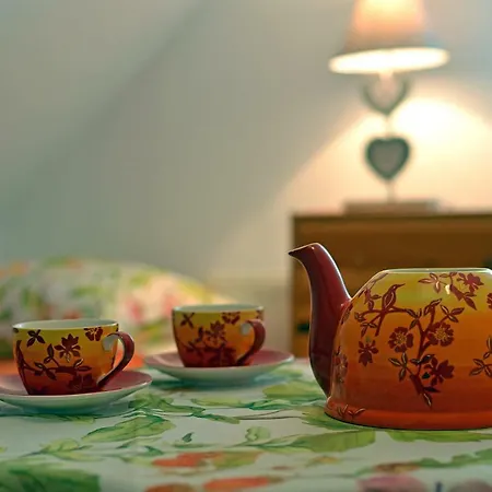 Biotanika 팜스테이