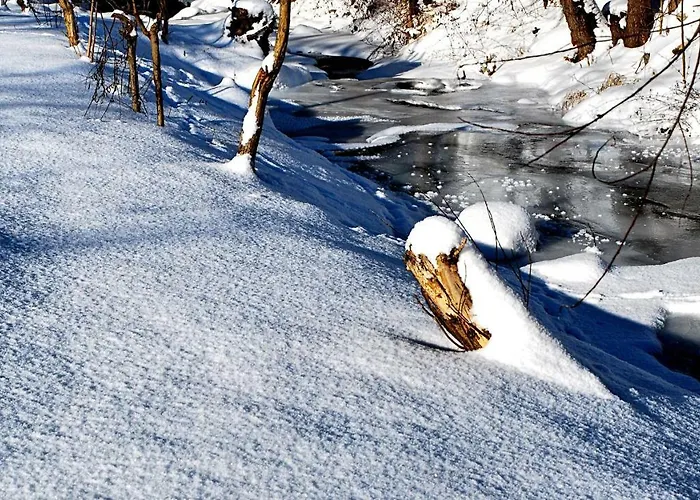 Biotanika Farma Michalkowa