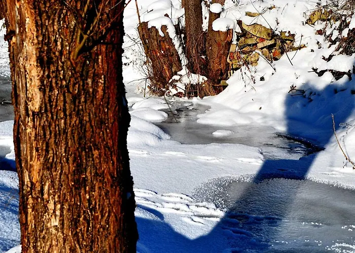 Biotanika مزرعة للإقامة *