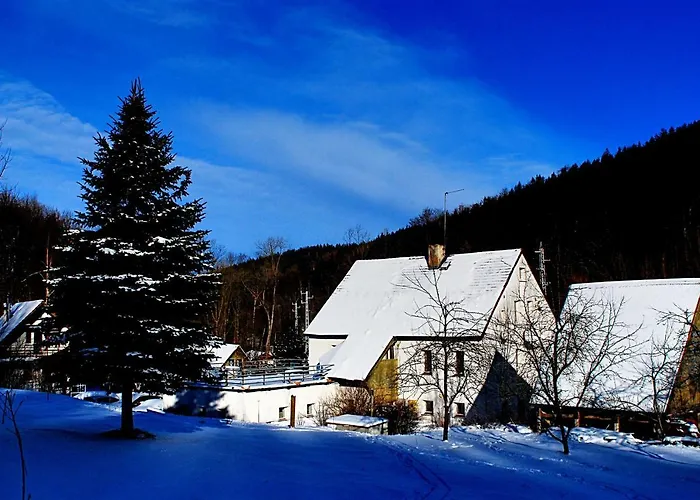 Biotanika Michalkowa